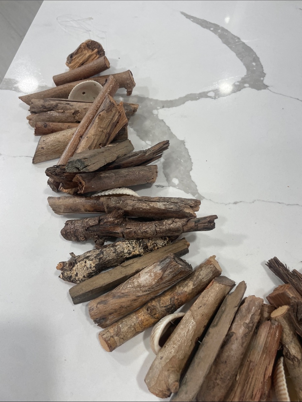 Wood and Shell strand - Picture 2 of 8